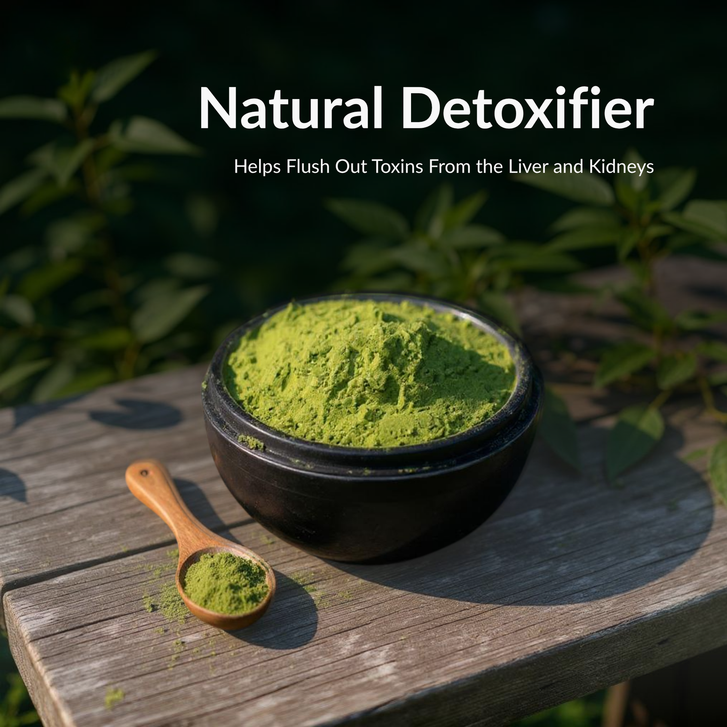 Moringa Powder
