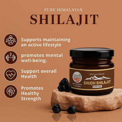 Parwaaz Organics Shilajit