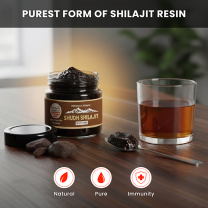 Parwaaz Organics Shilajit