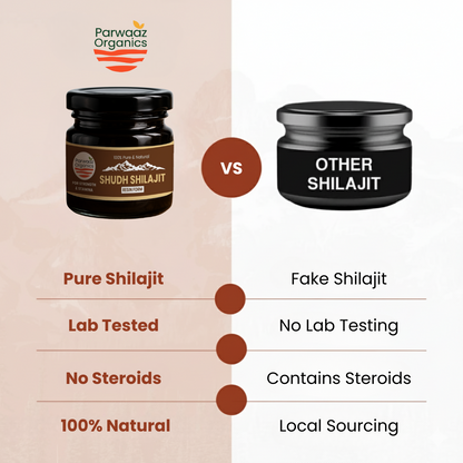 Parwaaz Organics Shilajit