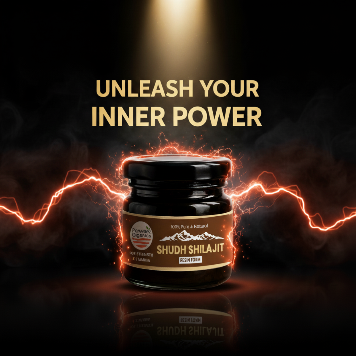 Parwaaz Organics Shilajit