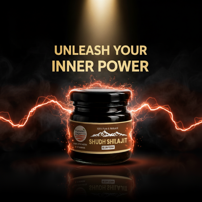 Parwaaz Organics Shilajit